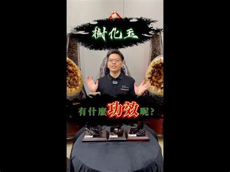 樹玉功效|樹化玉功效：揭開億萬年寶藏的能量奧秘 